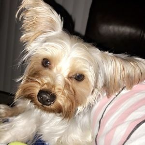 Meet your Posher, Bexaleen